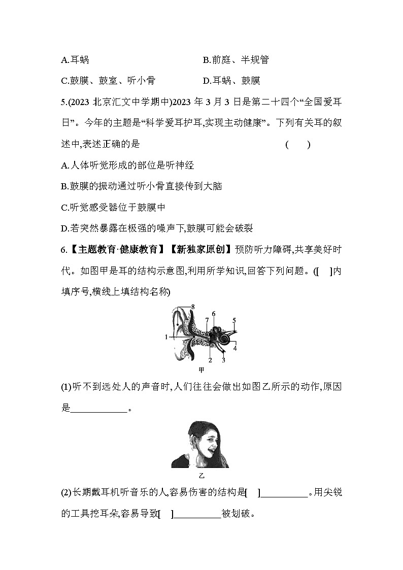 2.3耳和听觉  第1课时同步练习浙教版七年级下册科学第2页