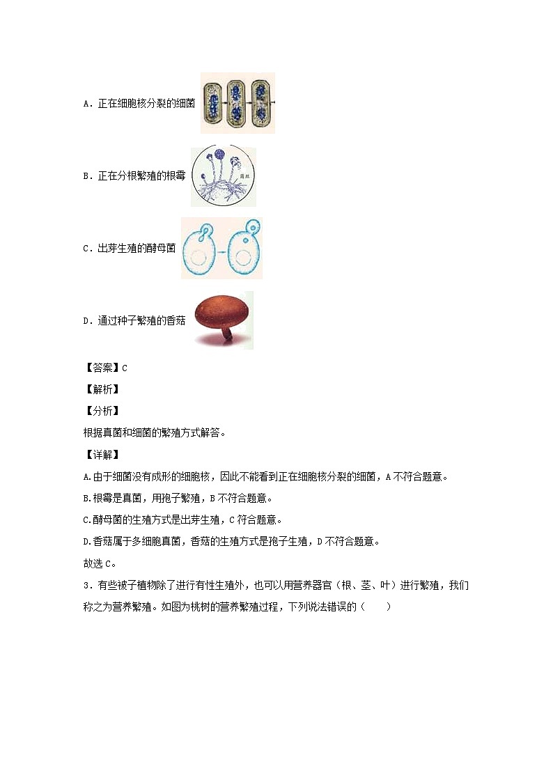 2022-2023学年七年级下册科学第一章单元测试卷及答案浙教版02