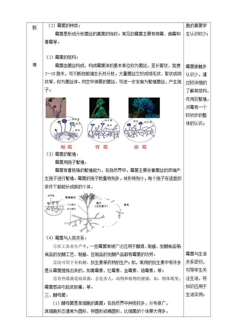 1.6细菌和真菌的繁殖 教学设计（表格式）浙教版七年级下册科学02