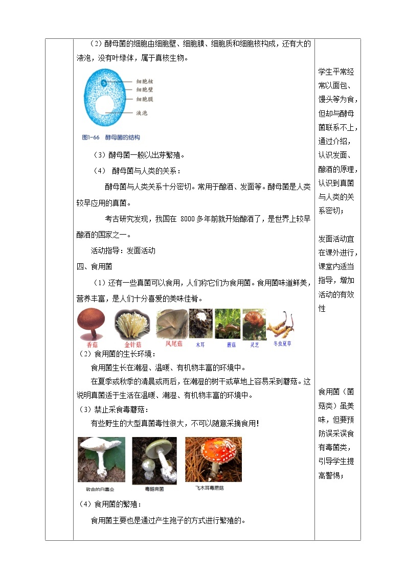 1.6细菌和真菌的繁殖 教学设计（表格式）浙教版七年级下册科学03