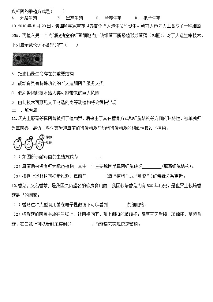 1.6细菌和真菌的繁殖 同步练习浙教版七年级下册科学02