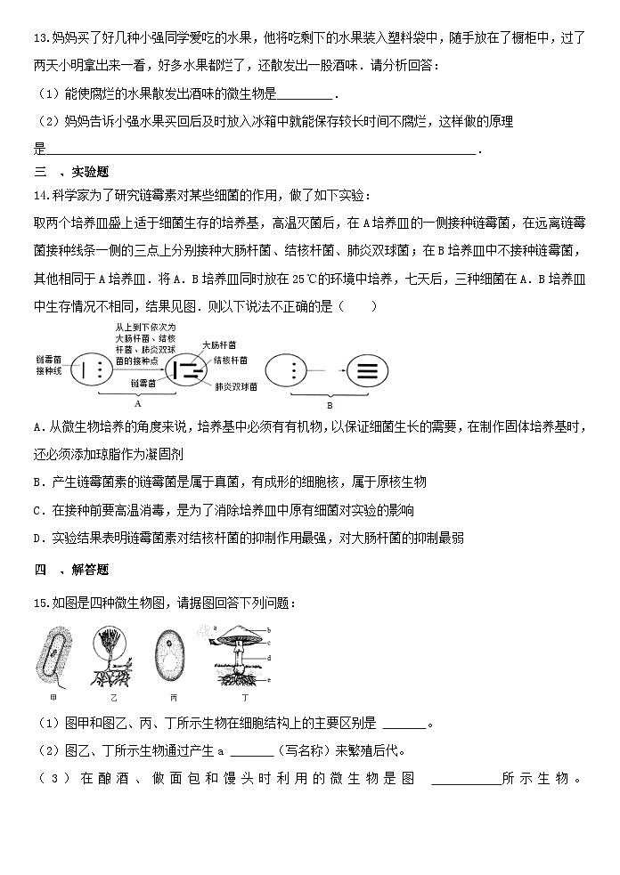 1.6细菌和真菌的繁殖 同步练习浙教版七年级下册科学03