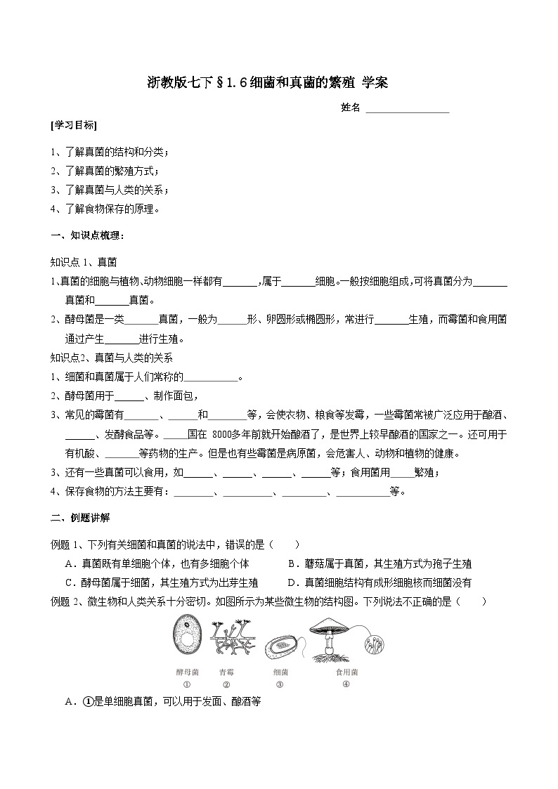 1.6细菌和真菌的繁殖 学案浙教版七年级下册科学01