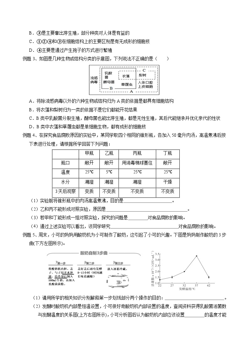 1.6细菌和真菌的繁殖 学案浙教版七年级下册科学02