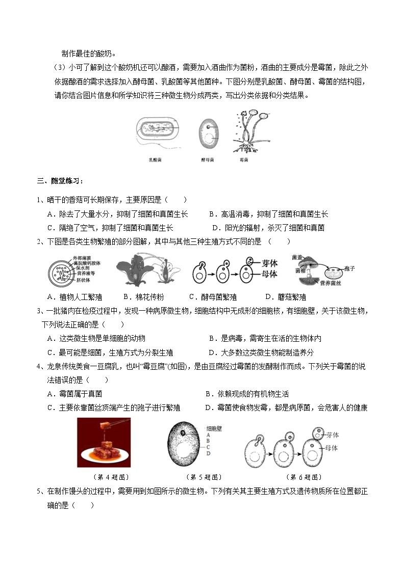1.6细菌和真菌的繁殖 学案浙教版七年级下册科学03