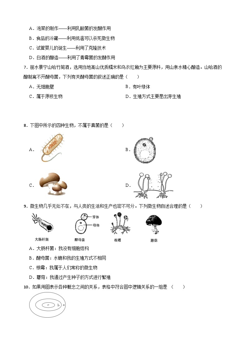 1.6细菌和真菌的繁殖同步练习（带知识点）浙教版七年级下册科学03