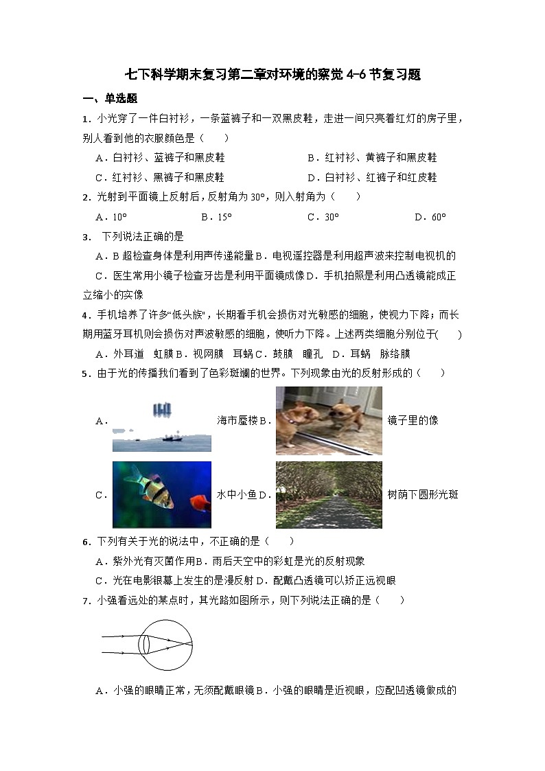第二章对环境的察觉46节复习题  浙教版七年级下册科学01