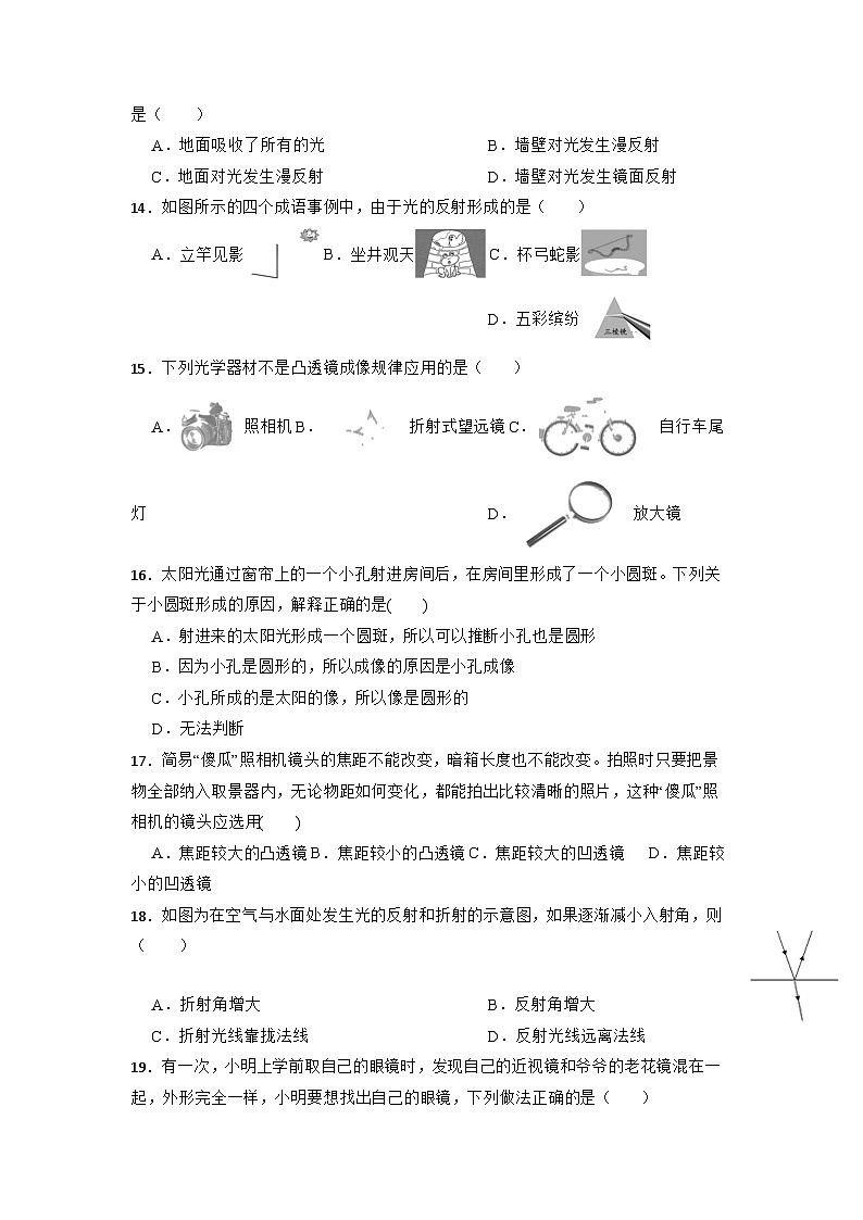第二章对环境的察觉46节复习题  浙教版七年级下册科学03