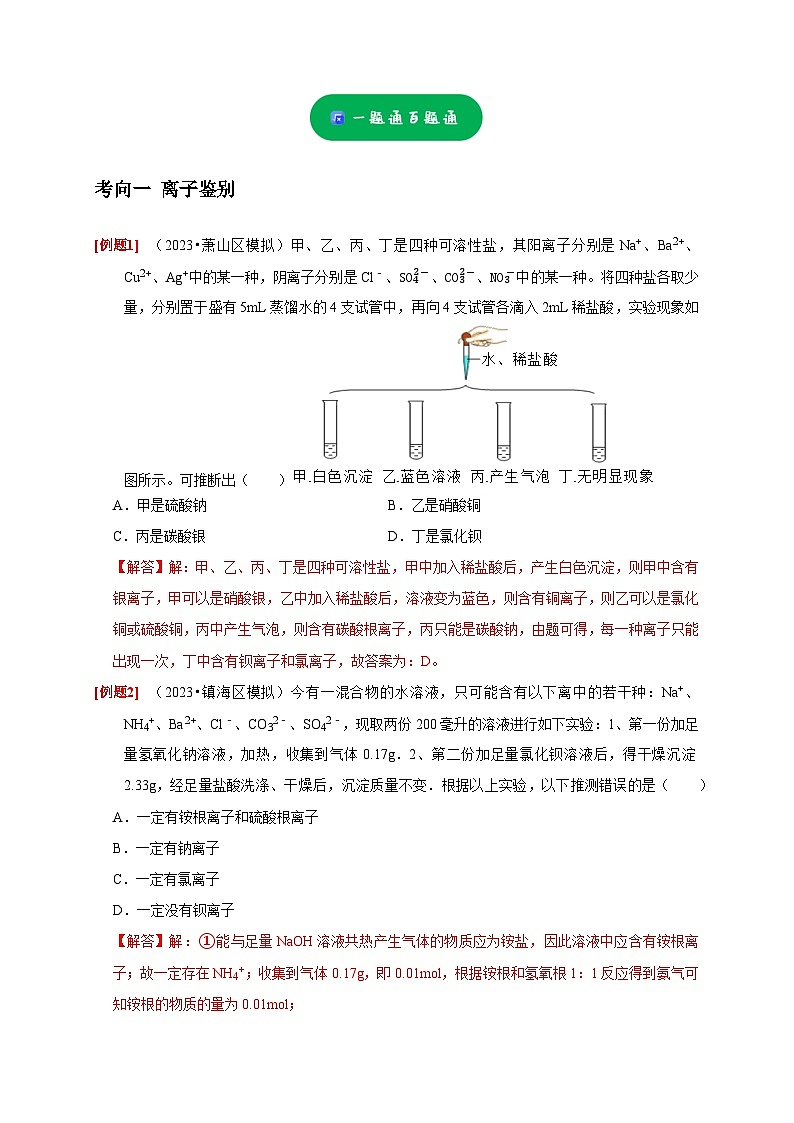 精练03 离子鉴别、物质检验、物质推断——浙江中考科学专项突破限时精练02