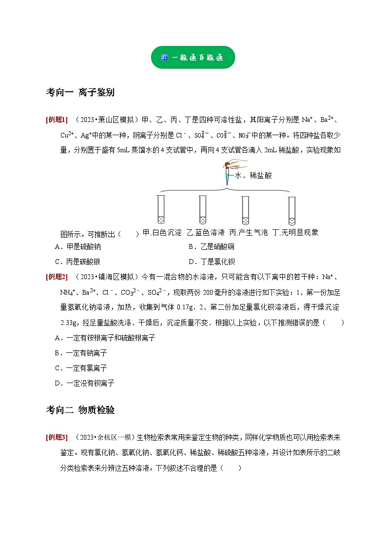 精练03 离子鉴别、物质检验、物质推断——浙江中考科学专项突破限时精练02