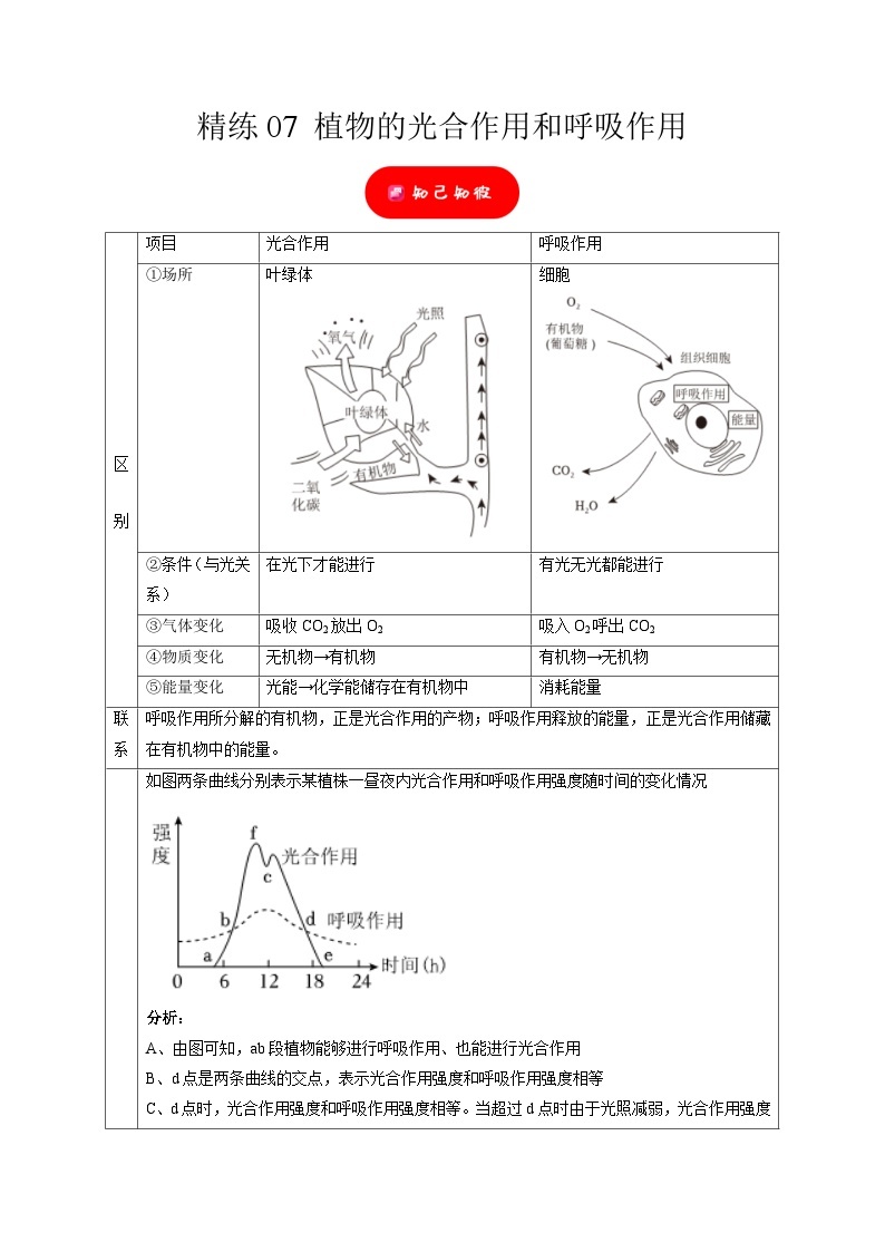 精练07 植物的光合作用和呼吸作用——浙江中考科学专项突破限时精练01