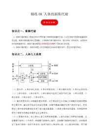 精练08 人体的新陈代谢——浙江中考科学专项突破限时精练