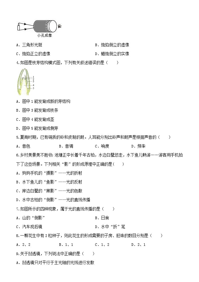 2023-2024学年浙教版七年级下册科学期中模拟测试02