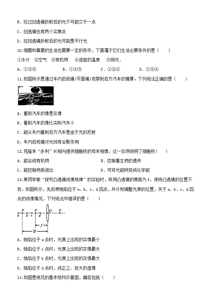 2023-2024学年浙教版七年级下册科学期中模拟测试03