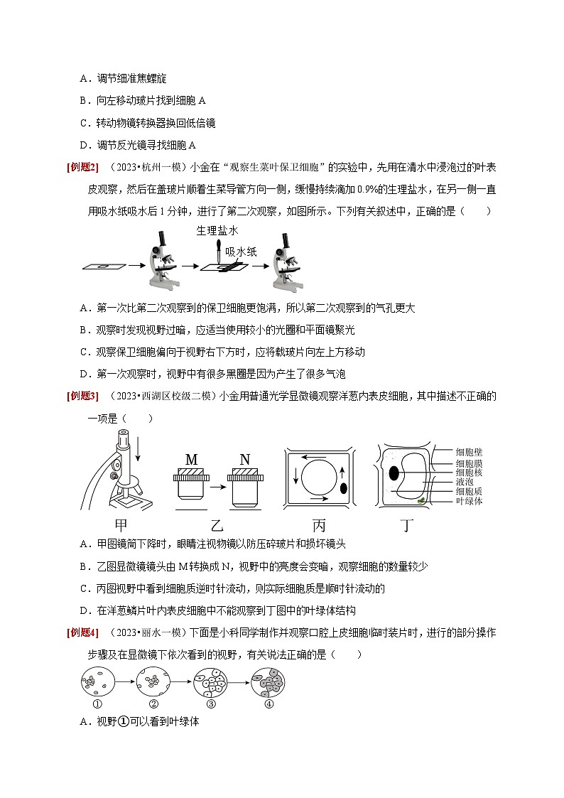 精练11 生物实验（原卷版）第3页