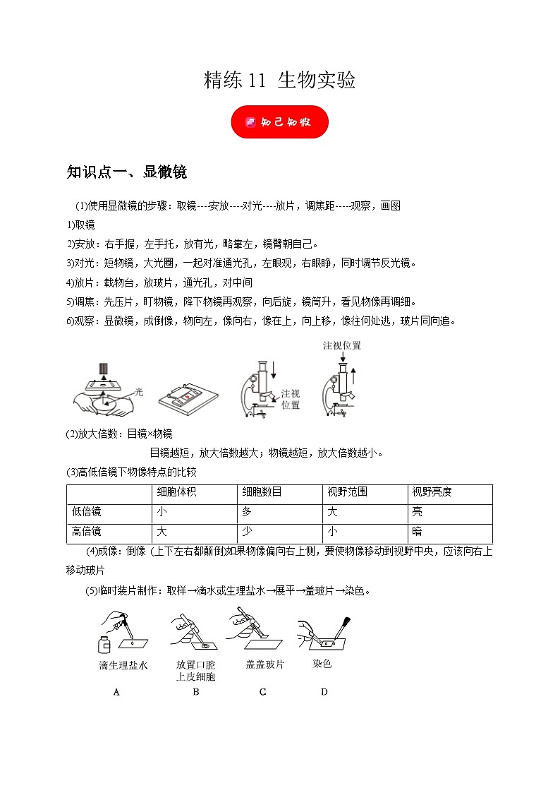 精练11 生物实验（解析版）第1页