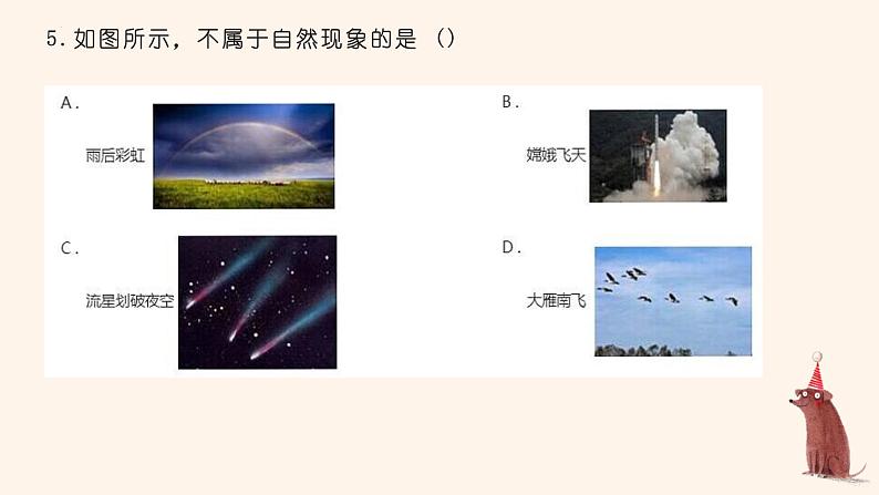 1.1科学并不神秘 考点练习课件  2023—2024学年浙教版科学七年级上册08