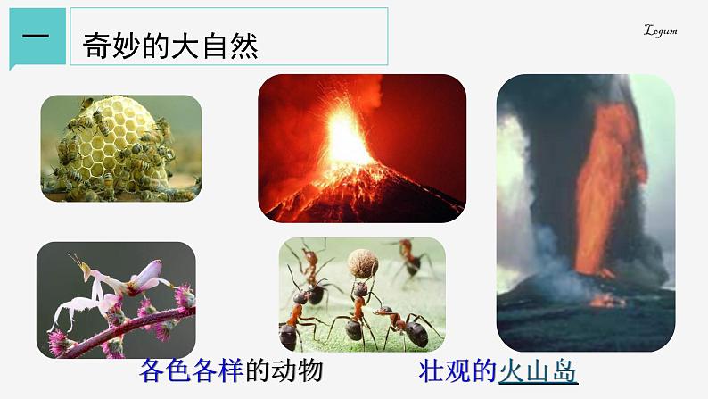 1.1科学并不神秘课件-2023-2024学年浙教版七年级上册科学第3页