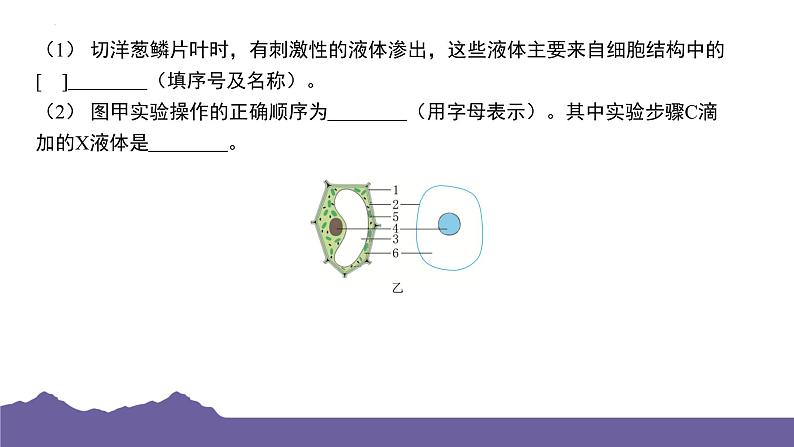 期末复习压轴题特训课件-2023-2024学年浙教版七年级上册科学03