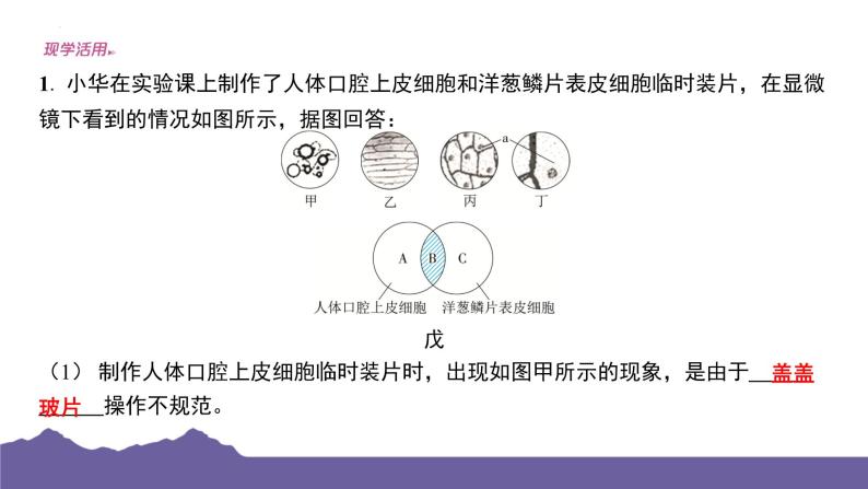 期末复习压轴题特训课件-2023-2024学年浙教版七年级上册科学07