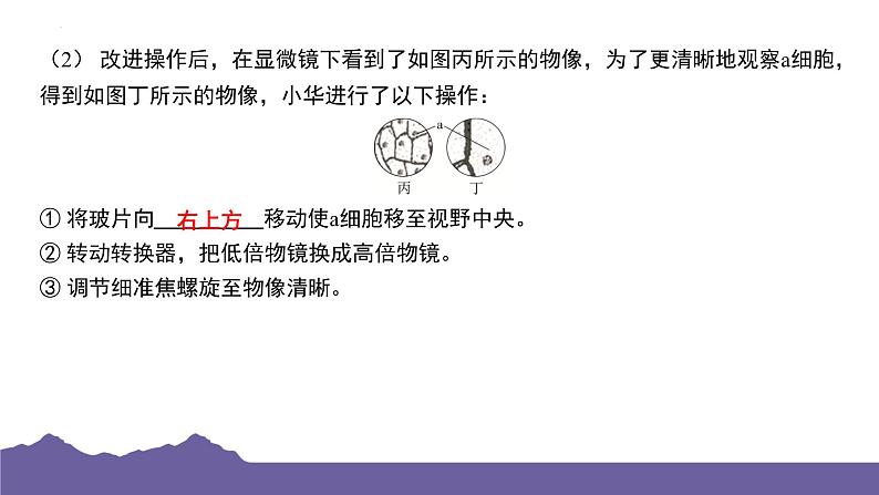 期末复习压轴题特训课件-2023-2024学年浙教版七年级上册科学08