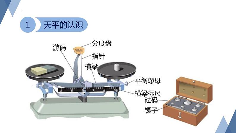 4.2 质量的测量课件-- -2023-2024学年浙教版科学七年级上册08