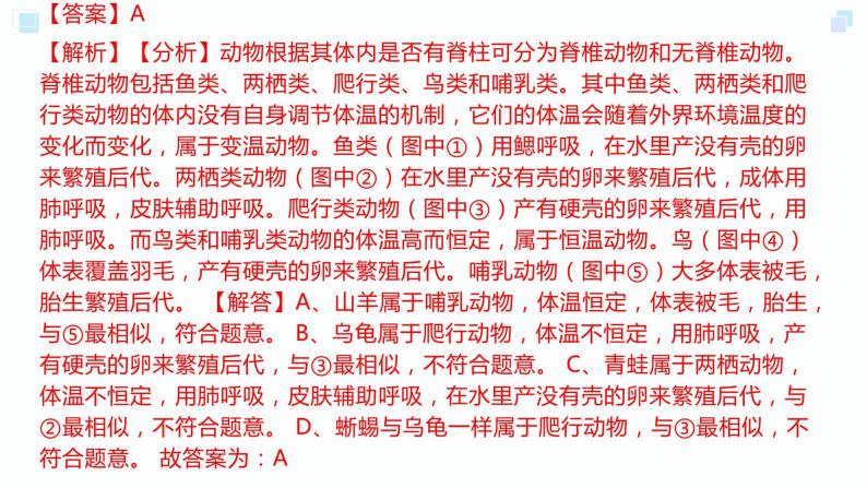 2.4常见的动物考点练习-2023-2024学年浙教版科学七年级上册课件PPT04