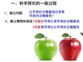 专题复习：科学探究复习PPT-2023-2024学年浙教版七年级上册科学