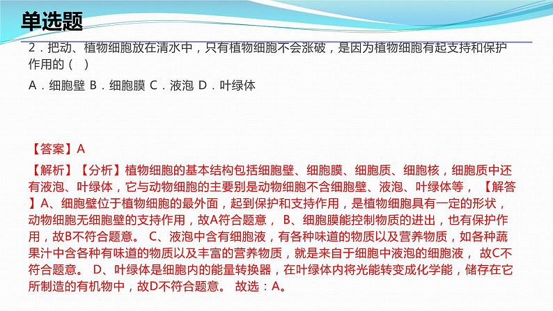 2.2细胞考点练习课件-2023-2024学年浙教版七年级上册科学03