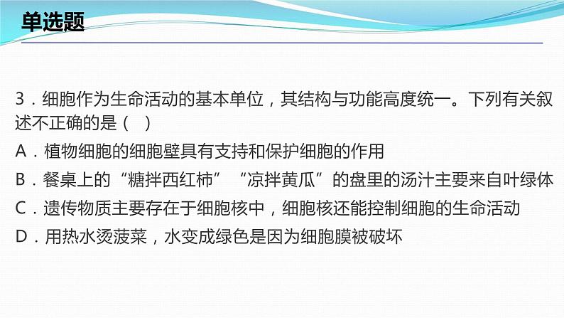 2.2细胞考点练习课件-2023-2024学年浙教版七年级上册科学04