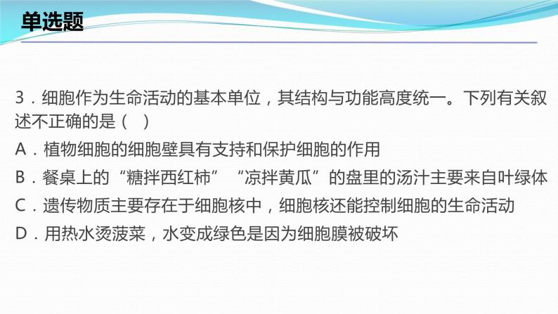 2.2细胞考点练习课件-2023-2024学年浙教版七年级上册科学04