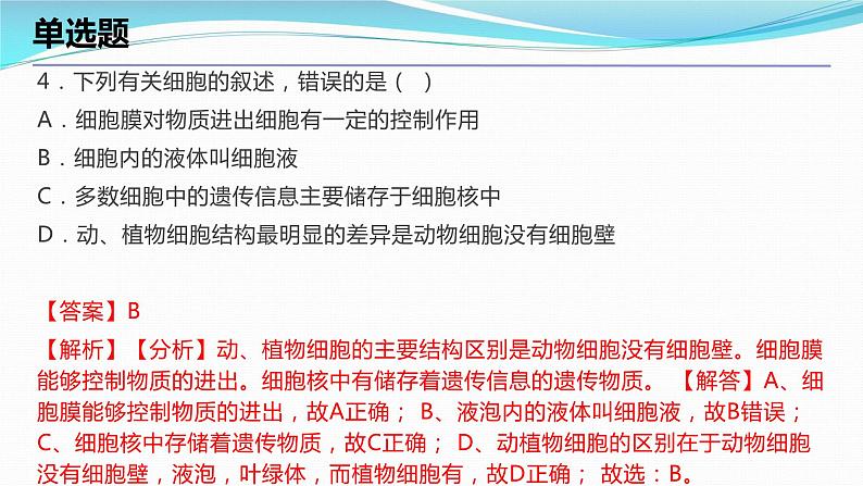 2.2细胞考点练习课件-2023-2024学年浙教版七年级上册科学06