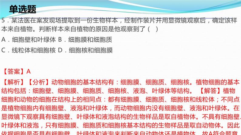 2.2细胞考点练习课件-2023-2024学年浙教版七年级上册科学07