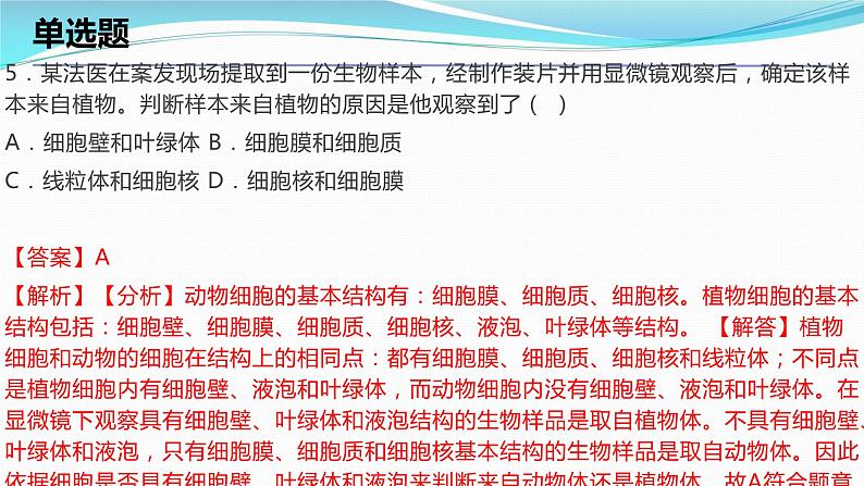 2.2细胞考点练习课件-2023-2024学年浙教版七年级上册科学07