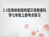 2.3生物体的结构层次考点练习-浙教版七年级上册科学课件PPT
