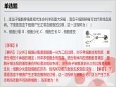 2.3生物体的结构层次考点练习-浙教版七年级上册科学课件PPT