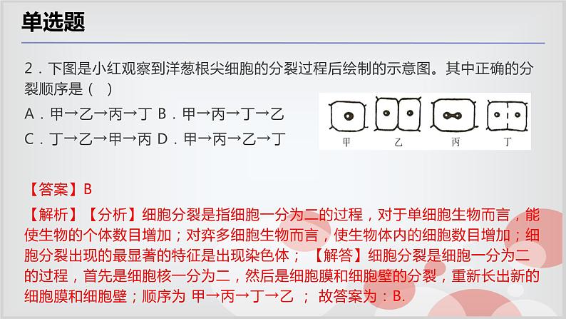 2.3生物体的结构层次考点练习-浙教版七年级上册科学课件PPT03