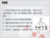 2.3生物体的结构层次考点练习-浙教版七年级上册科学课件PPT
