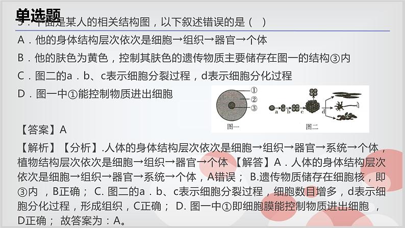 2.3生物体的结构层次考点练习-浙教版七年级上册科学课件PPT07