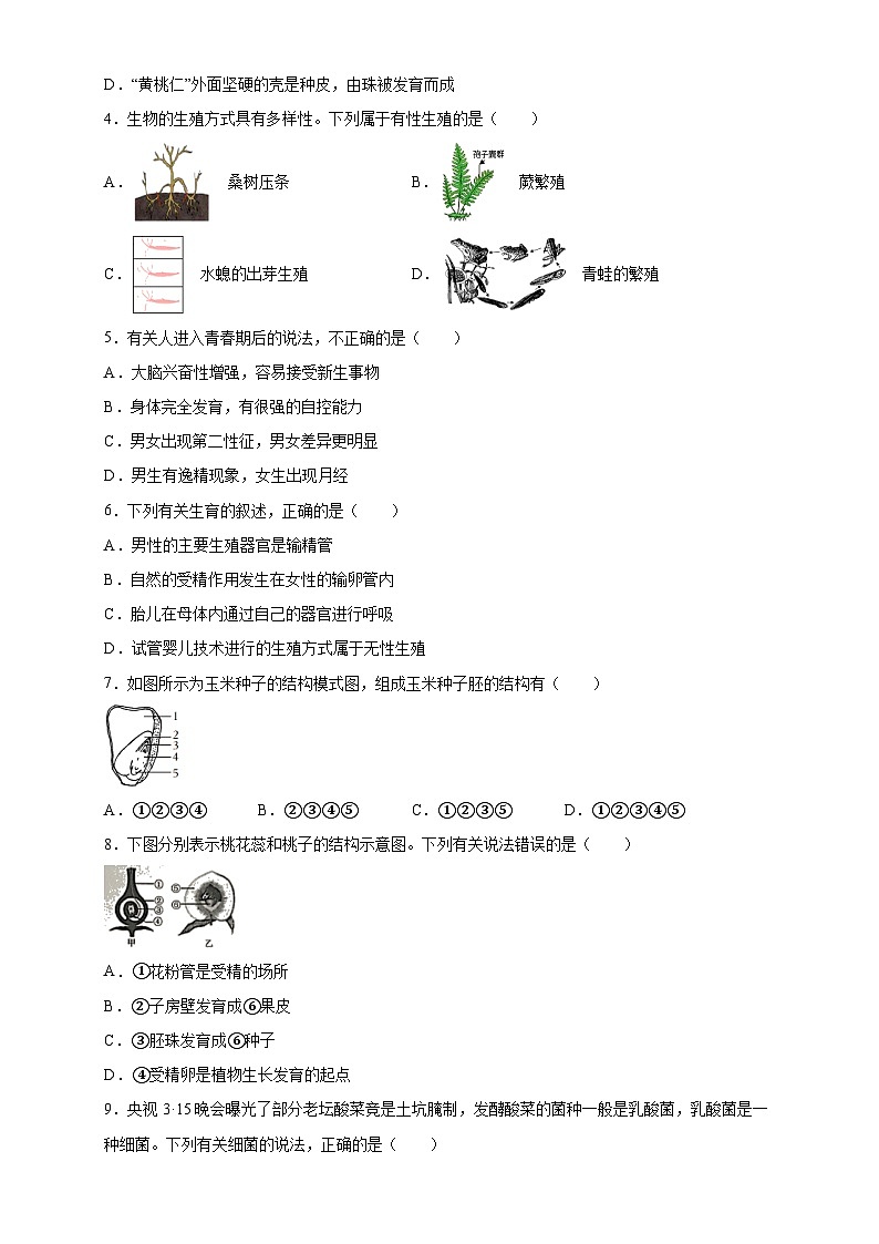 第一单元期末复习：选择题1  浙教版科学七年级下册02