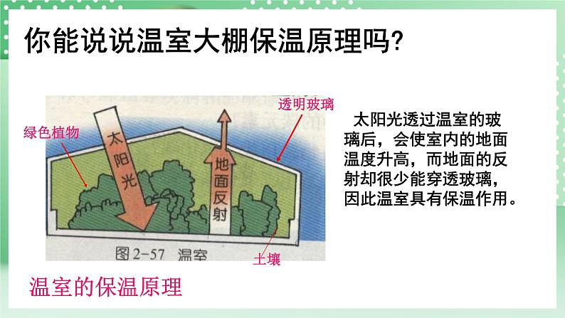 华师大版科学七年级下册2.5《保护大气圈》课件第6页