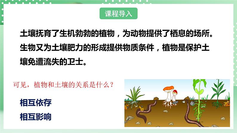 华师大版科学七年级下册4.2《土壤与植物》课件03