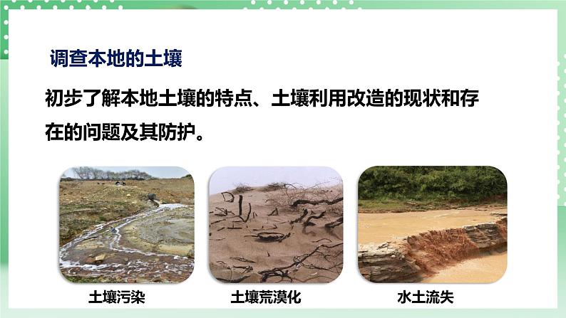 华师大版科学七年级下册4.3《人类活动与土壤》课件05