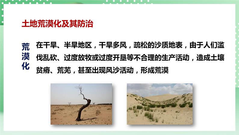 华师大版科学七年级下册4.3《人类活动与土壤》课件06