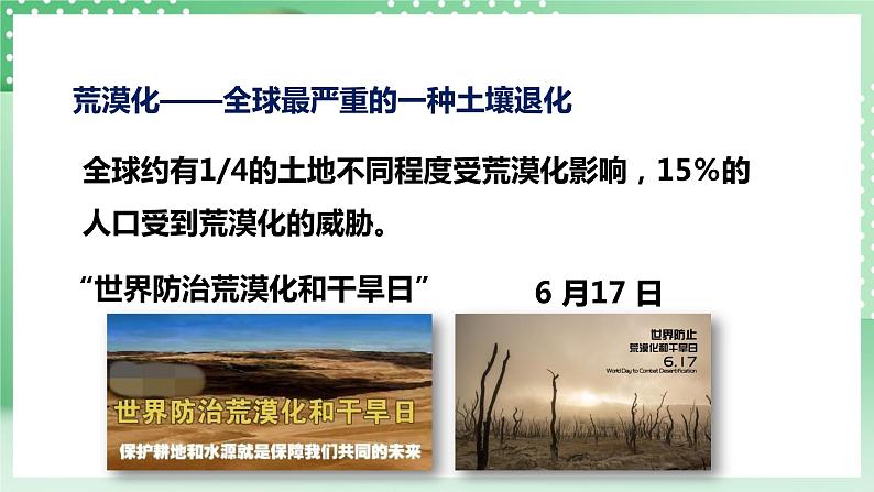 华师大版科学七年级下册4.3《人类活动与土壤》课件07