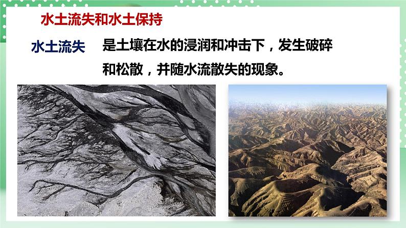 华师大版科学七年级下册4.3《人类活动与土壤》课件08