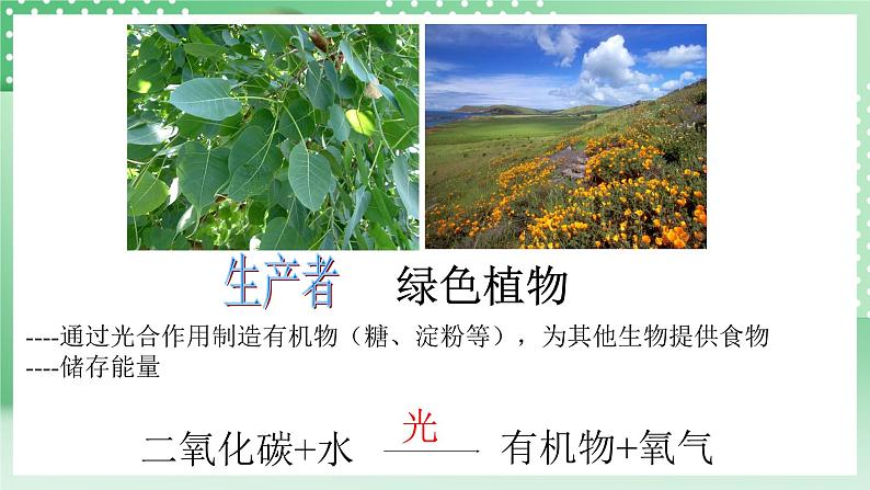 华师大版科学七年级下册5.2《生态系统》课件+视频07