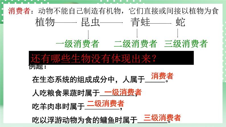 华师大版科学七年级下册5.2《生态系统》课件+视频08