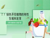 华师大版科学七年级下册7.1《绿色开花植物的有性生殖和发育》课件