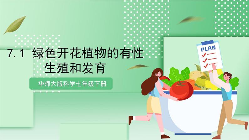 华师大版科学七年级下册7.1《绿色开花植物的有性生殖和发育》课件01